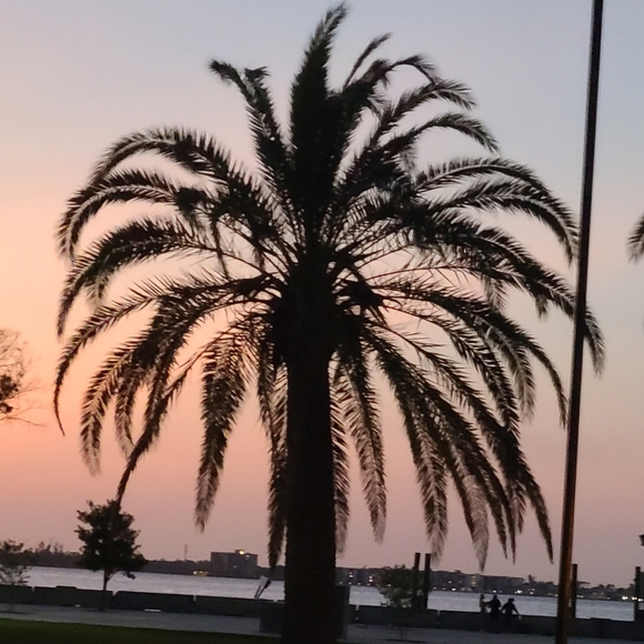 Meet your Posher, Marilee - Picture 4 of 14